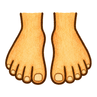 feet