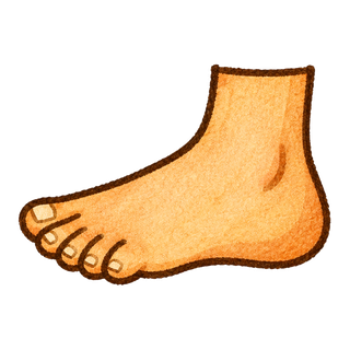 foot