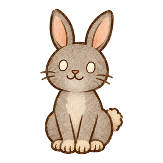 rabbit